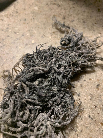 St Lucian Green Sea Moss (Dried) | Traceable, Lab Tested
