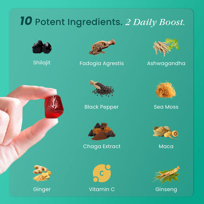 BeepWell Shilajit Combo – Resin (80 Servings) + Gummies with Ashwagandha (60 Ct) – Vegan, No Added Sugar
