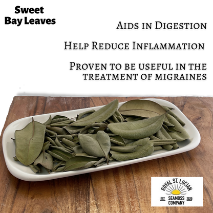 Sweet Bay Leaves | Whole, Aromatic Culinary Leaves