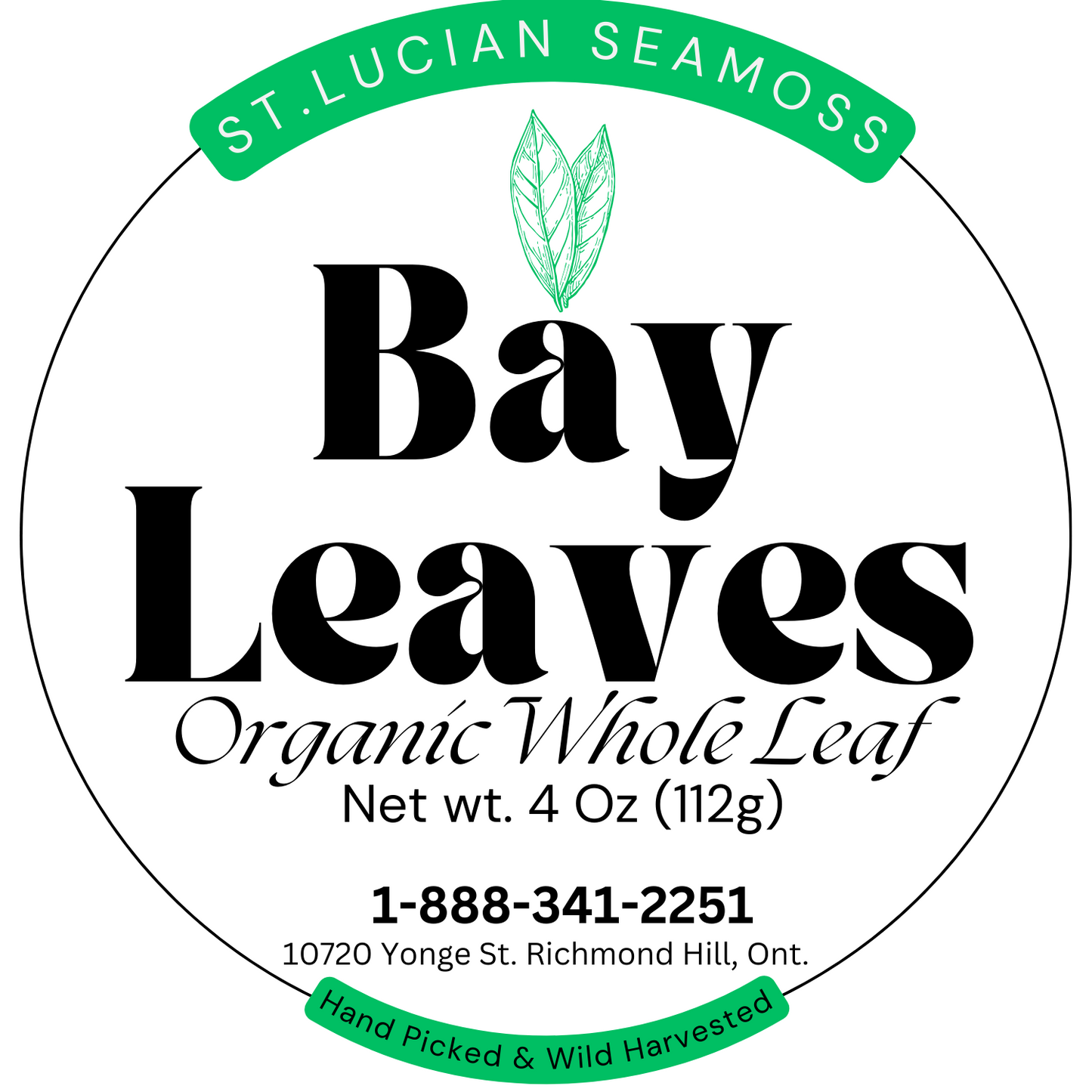 Sweet Bay Leaves | Whole, Aromatic Culinary Leaves