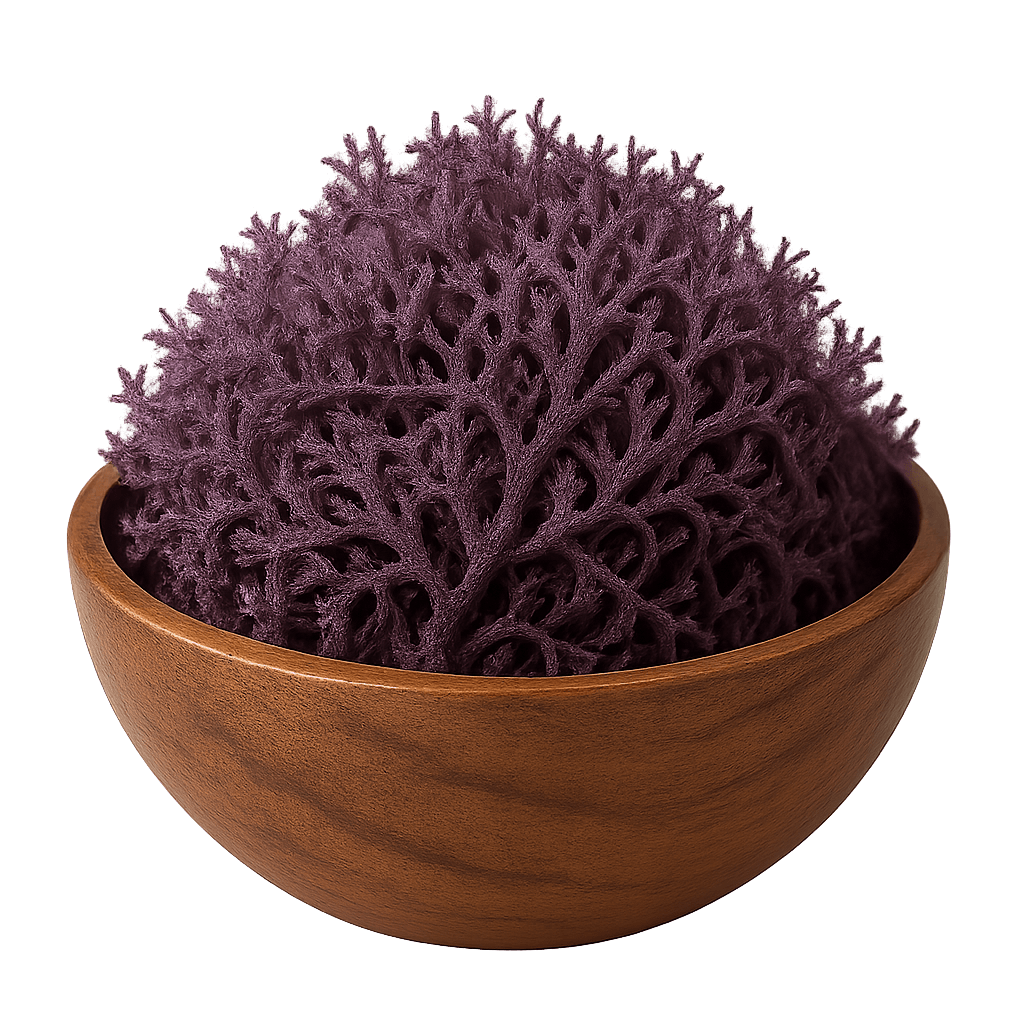 St. Lucian Purple Sea Moss Wholesale | Dried Bulk Seamoss