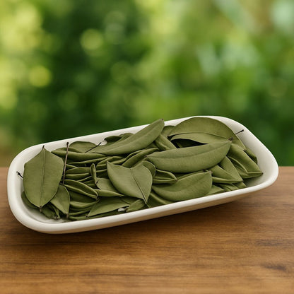 Sweet Bay Leaves | Whole, Aromatic Culinary Leaves