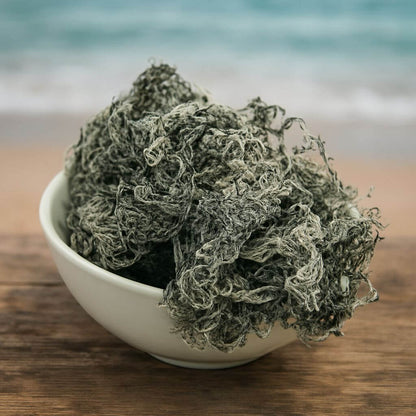 St Lucian Green Sea Moss (Dried) | Traceable, Lab Tested
